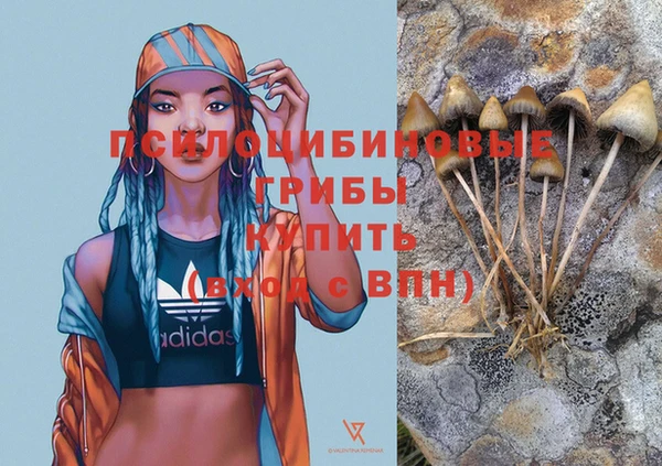 ALPHA PVP Армянск