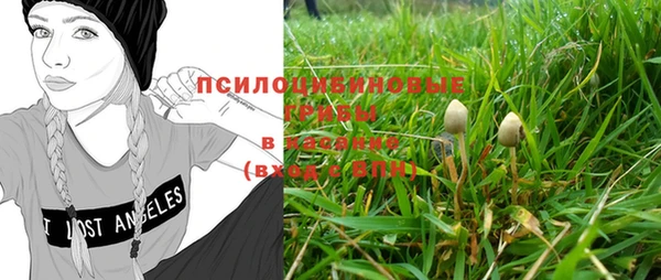 ALPHA PVP Армянск